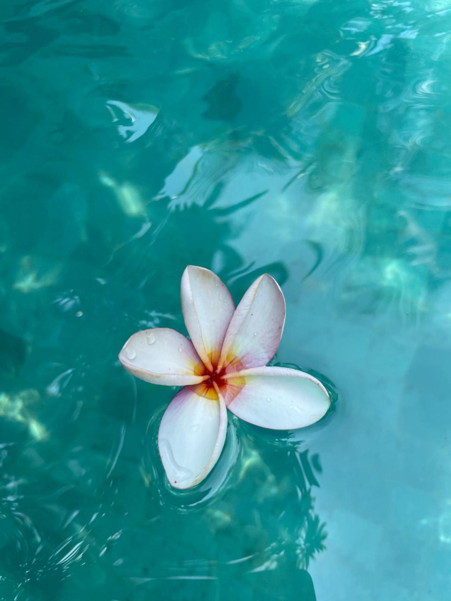 Umakayu Joglo Villa Canggu - Boutique Hotel Экстерьер фото